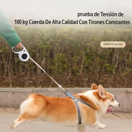 correa retractil perro 5 metros paseos seguros resistente